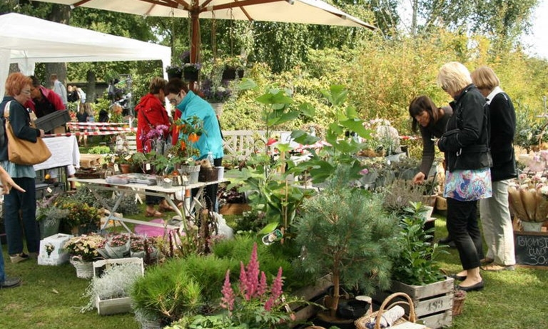 Plant Market in The Geographical Garden